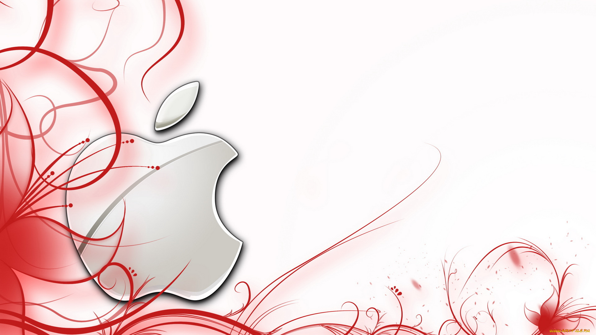 , apple